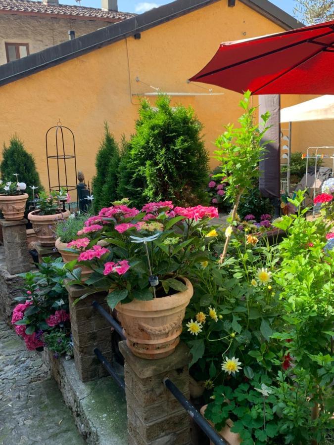 Ferienhaus, Rustico Auf Burg Locarno Zewnętrze zdjęcie